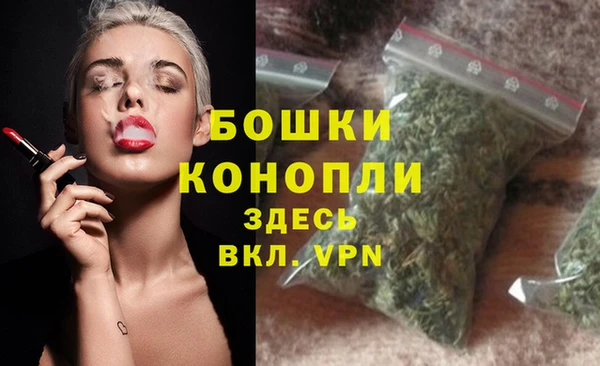 mix Богородск