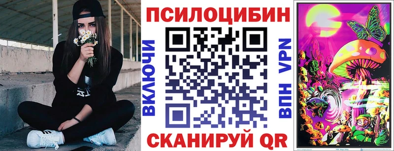 как найти наркотики  Строитель  ссылка на мегу зеркало  Галлюциногенные грибы Psilocybe 