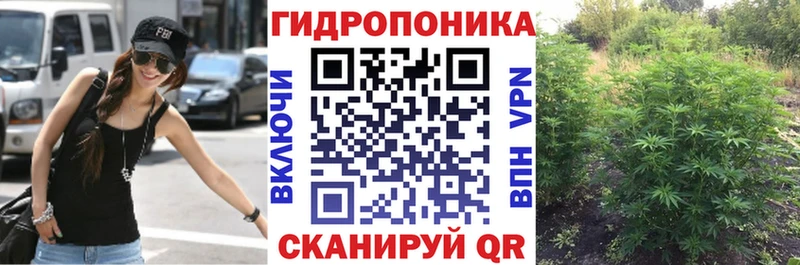 Бошки Шишки VHQ  Строитель 
